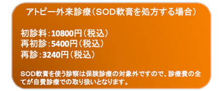 アトピー外来診察費