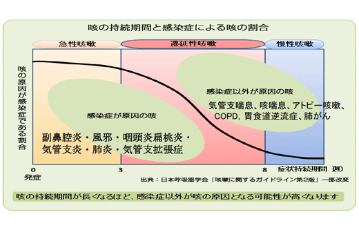 慢性 気管支 炎