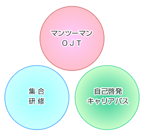 当院の職員研修システム